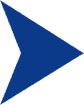 next_btn_icon